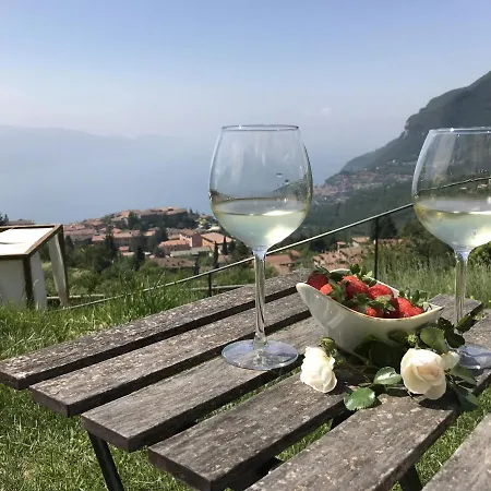 Apartment Borgo Le Vigne - La Vinaccia Only Adults