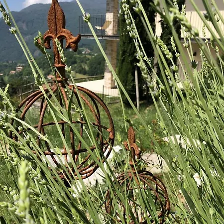 Borgo Le Vigne - La Vinaccia Only Adults *