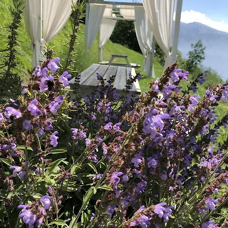 Borgo Le Vigne - La Vinaccia Only Adults *